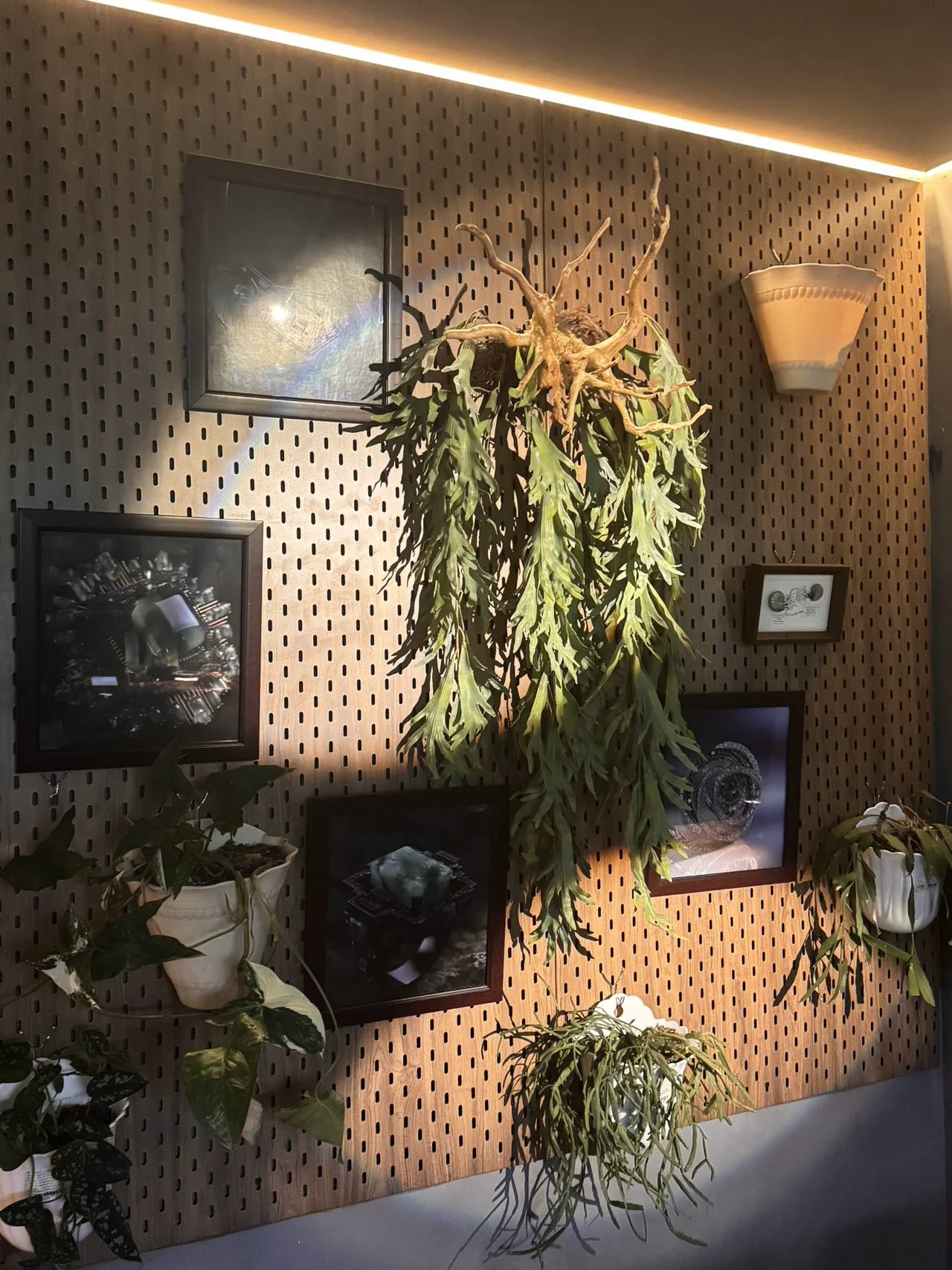 Exhibition photo 6